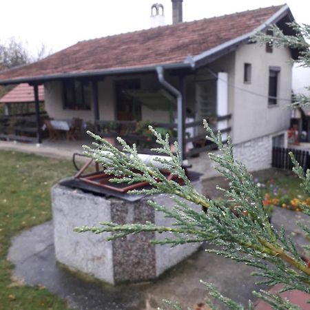 Galerija Jovanovic Topola Extérieur photo